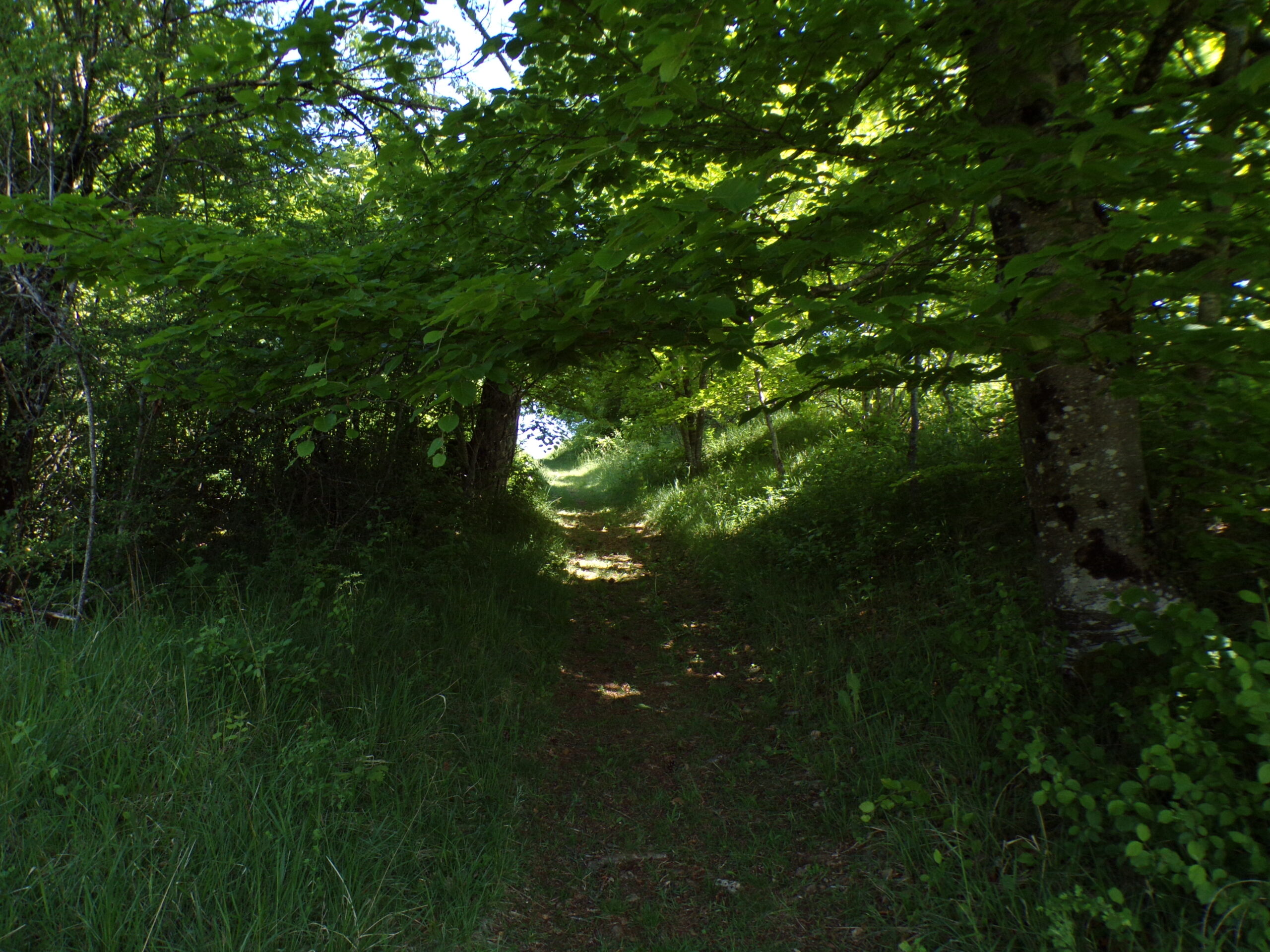 You are currently viewing Ce besoin d’écho au-delà du clic…