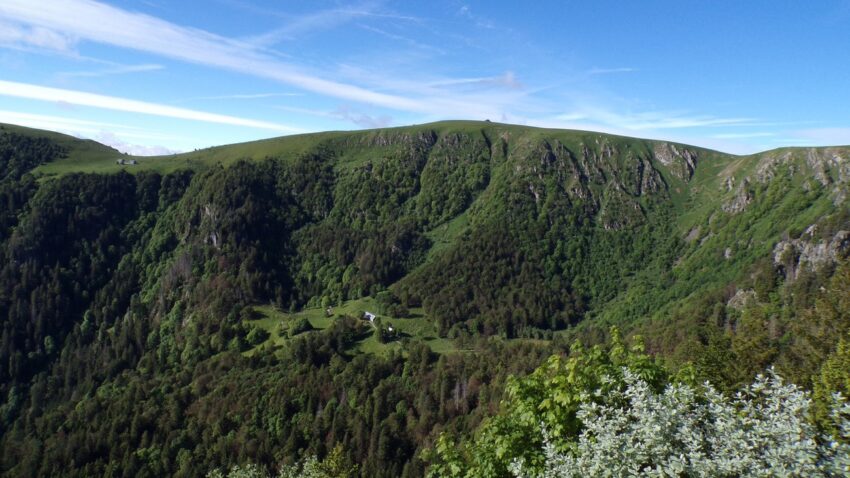 Lire la suite à propos de l’article Entre lacs et sommets : une journée sur les sentiers des Vosges