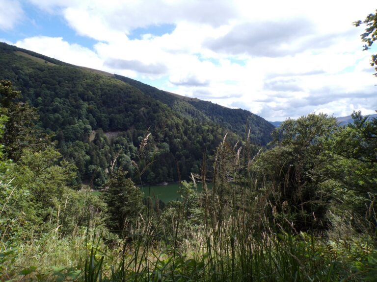 Lire la suite à propos de l’article Deux jours dans le massif Vosgien