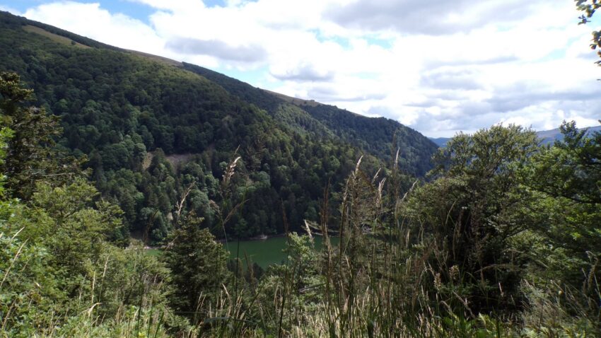 Lire la suite à propos de l’article Deux jours dans le massif Vosgien