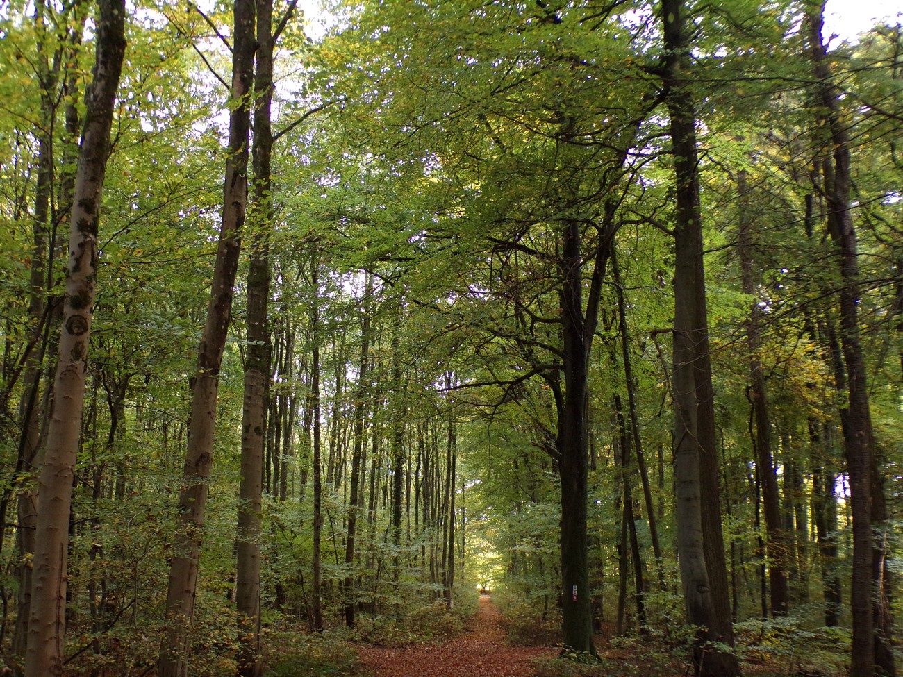 You are currently viewing Automne 2025 en photos